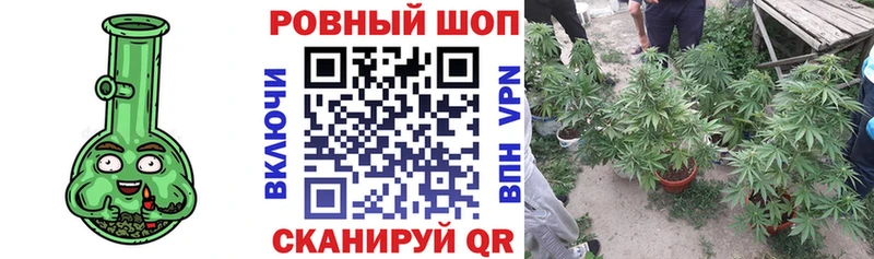 Где можно купить наркотики Брянск КОКАИН СОЛЬ ГАШ МАРИХУАНА Меф мяу мяу
