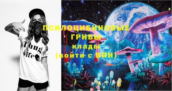 прущие крисы Верея