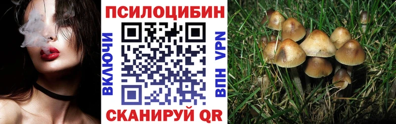 Псилоцибиновые грибы ЛСД  даркнет сайт  mega как войти  Брянск 